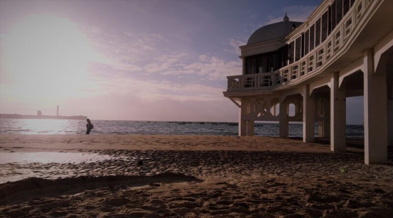 From Seville: Cadiz and Jerez de la Frontera Day Trip - Authentic Experiences That Shine