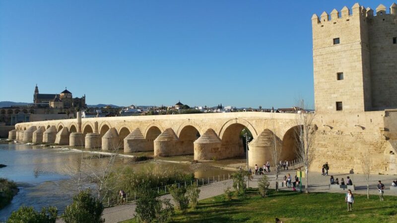 From Seville: Córdoba Private day Trip - Key Points