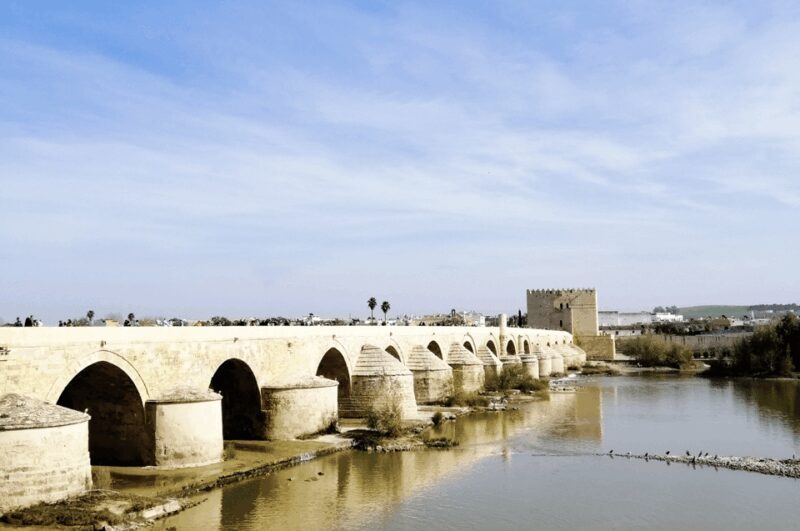 From Seville: Cordoba Private Day Trip - Free Time to Savor Córdoba