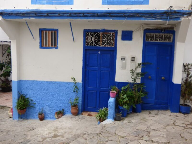 From Seville: Day Trip to Tangier with Lunch - Key Points