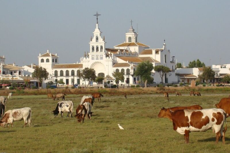 From Seville: Doñana National Park Day Trip - FAQs
