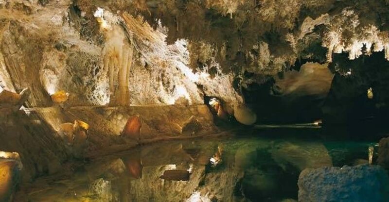 From Seville: Iberian Ham Full-Day Tour to Aracena - Who Would Love This Tour?