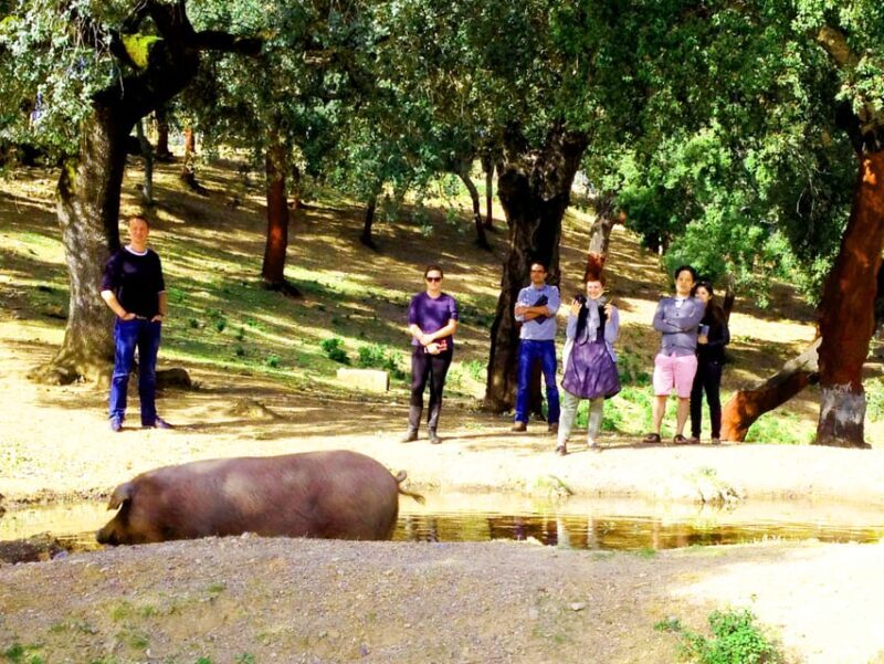 From Seville: Iberian Ham Full-Day Tour to Aracena - Final Thoughts