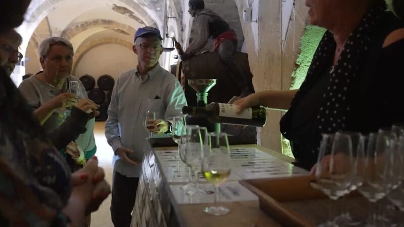 From Seville: Jerez, Cádiz and Andalusian Horses - An In-Depth Look at the Tour Experience