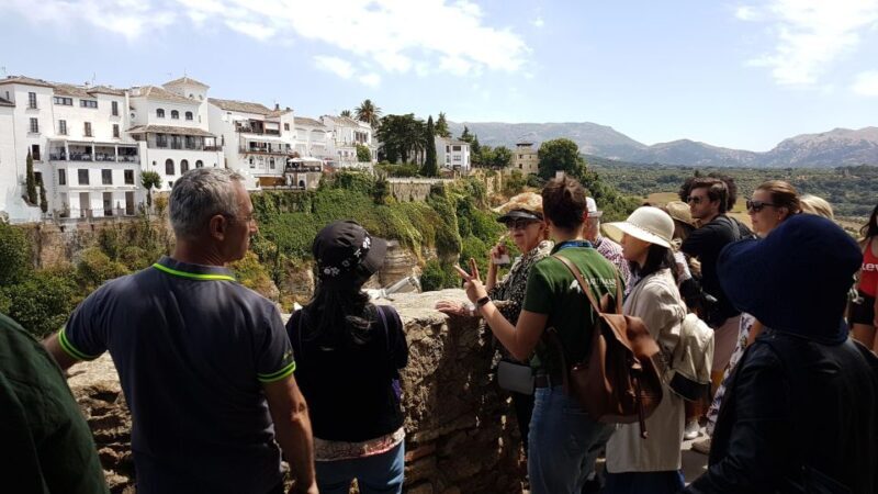 From Seville: Private Day Trip to Ronda and Córdoba - Who Is This Tour Best Suited For?