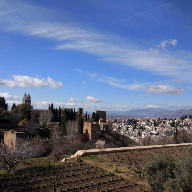 From Seville: Private Day Trip to Ronda and Granada - Why This Tour Offers Good Value