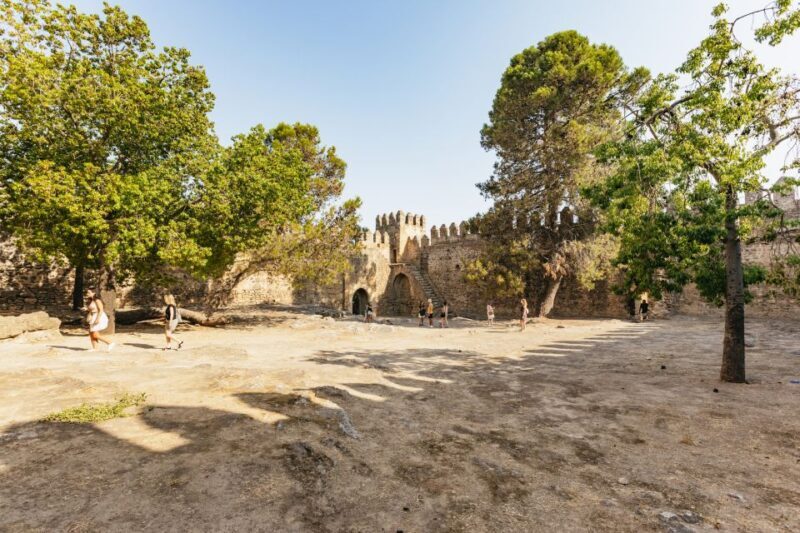 From Seville: Pueblos Blancos and Ronda Full-Day Trip - From Seville: Pueblos Blancos and Ronda Full-Day Trip – A Complete Review