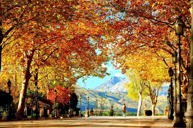 From Seville: Ronda, Setenil white town and Zahara Viewpoint - Who Should Consider This Tour?