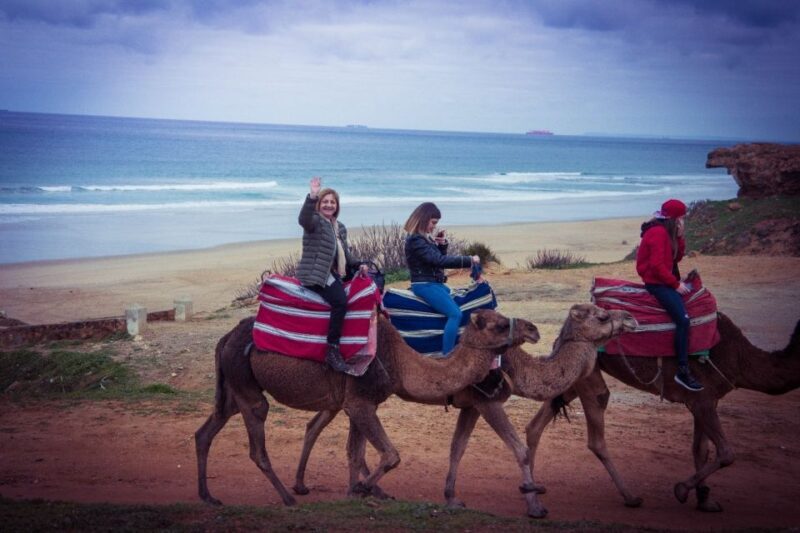 From Seville: Tangier Day Trip with Local Guide and Lunch - The Journey Begins: From Seville to Tarifa and Crossings by Ferry