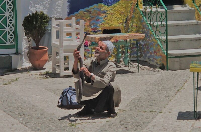 From Seville: Tangier Day Trip with Local Guide and Lunch - Iconic Attractions: Caves of Hercules and Cap Spartel