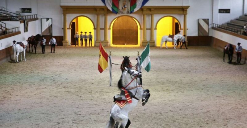 From Seville: Tour of Jerez with Horse Show & Wine Tasting - A Closer Look at the Tour: What to Expect