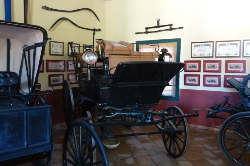 From Seville: Tour of Jerez with Horse Show & Wine Tasting - Final Words