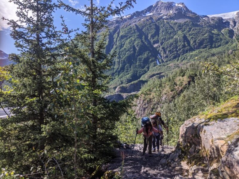 From Seward: 4-hour Wilderness Hiking Tour - A Deep Dive into the Seward Wilderness Hiking Tour