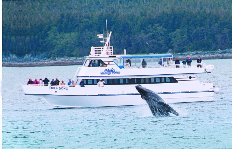 From Seward: Half-Day Resurrection Bay Wildlife Cruise Tour - An In-Depth Look at the Resurrection Bay Wildlife Cruise