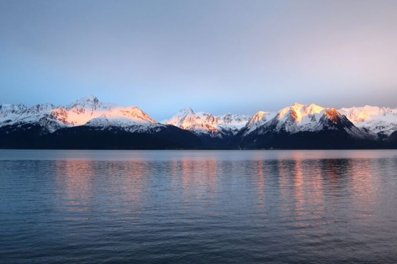 From Seward: Half-Day Resurrection Bay Wildlife Cruise Tour - The Sum Up