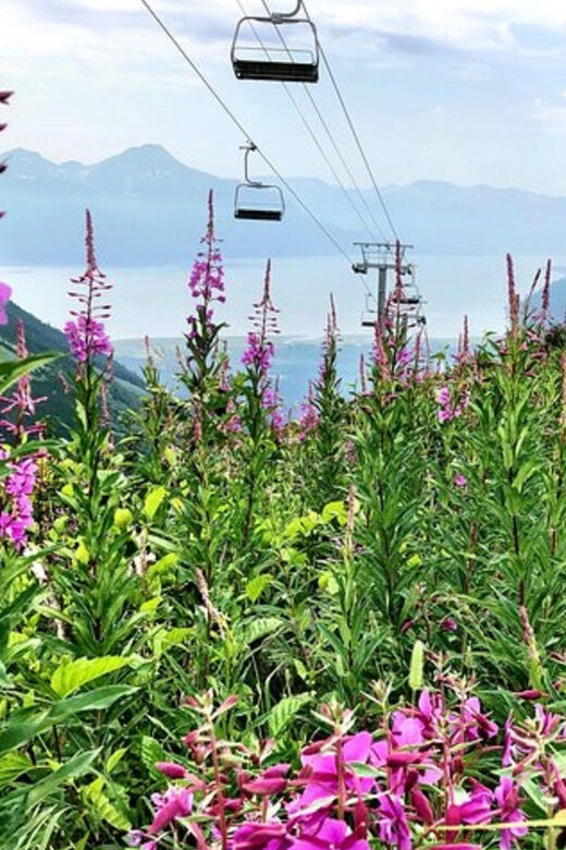 From Seward or Whittier: Guided Craft Tour and Ship Transfer - An In-Depth Look at the Experience