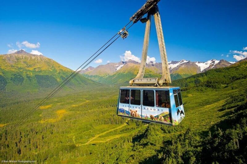 From Seward or Whittier: Guided Craft Tour and Ship Transfer - Final Thoughts