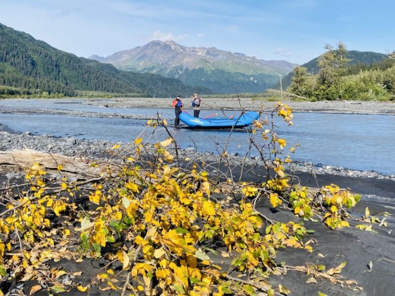 From Seward: Resurrection River Rafting Tour - The Value of This Experience