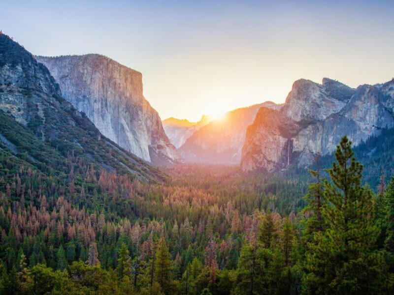 From SFO-Yosemite National Park-Enchanting Full Day Tour - The Sum Up