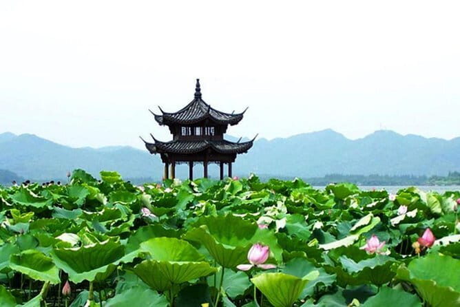 From Shanghai: Hangzhou Private Day Trip by Bullet Train - Final Thoughts