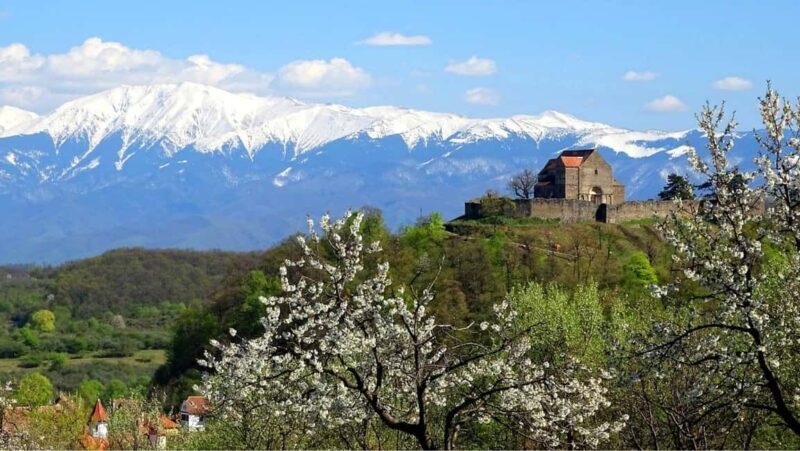 From Sibiu: Blue Line & City Tour Sighisoara - UNESCO - Who This Tour Is Best For