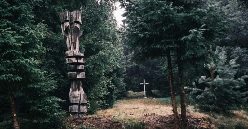 From Sibiu: Guided tour through the heart of Marginimea. - What You Can Expect at Each Stop