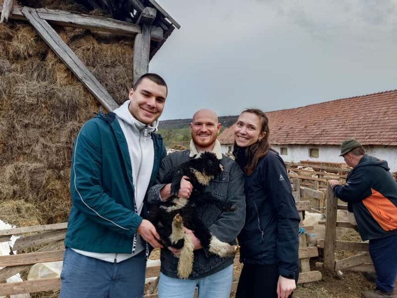 From Sibiu: Villages, Farm Life & Horse Carriage Ride - Authentic Farm Life and Cheese Tasting