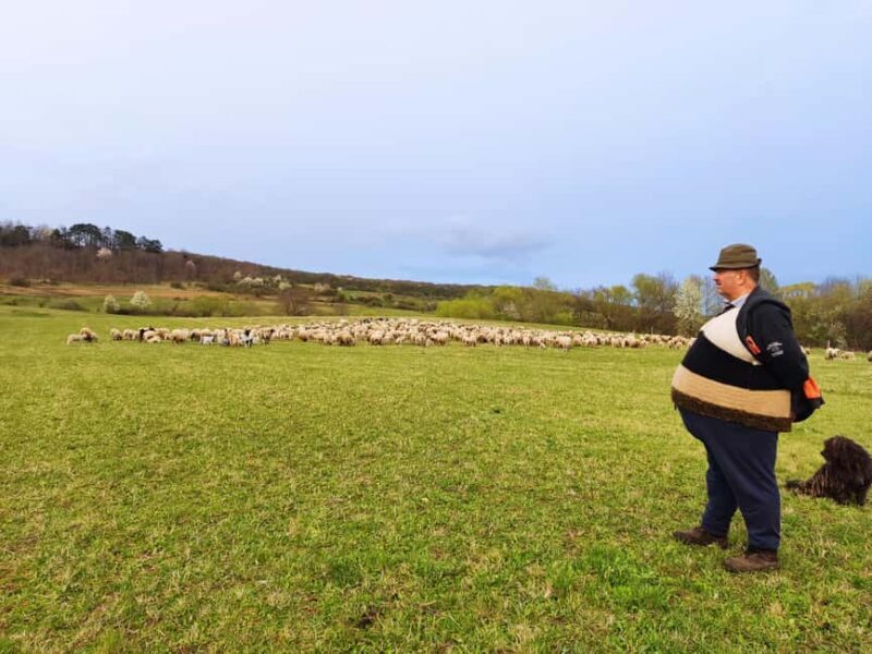 From Sibiu: Villages, Farm Life & Horse Carriage Ride - Traditional Romanian Lunch and Cultural Sights