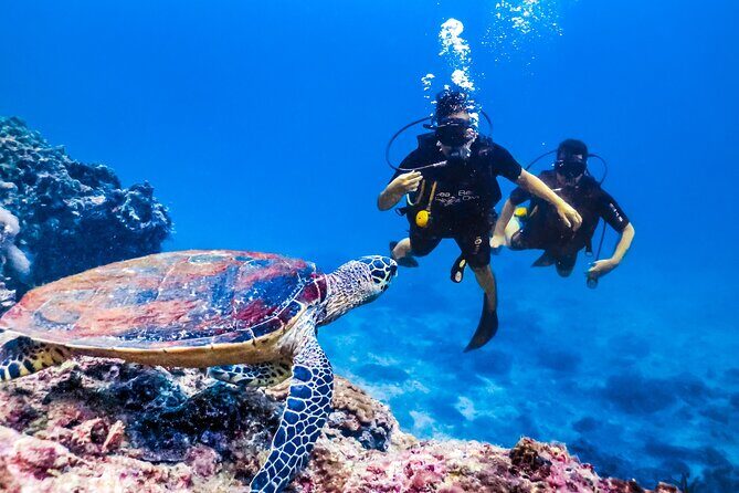 From Side, Alanya: Scuba Diving With 2 Time Dive & Lunch - FAQ