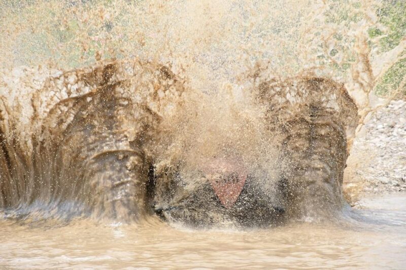 From Side & Belek: Buggy Safari Adventure & Hotel Transfers - Who Will Love This Tour?