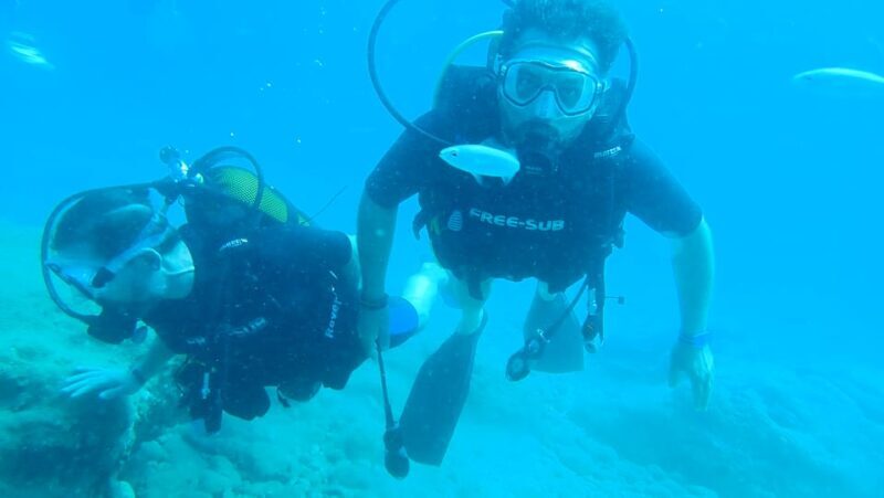 From Side: Guided Scuba Diving in Alanya w/ Lunch & Transfer - Final Thoughts