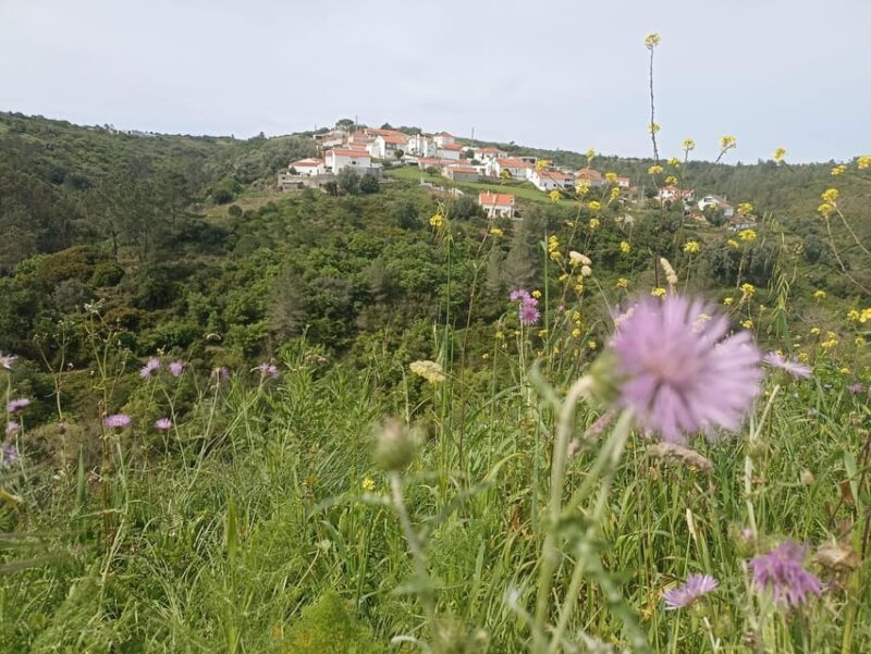 From Sintra, Mafra, or Ericeira: Hike and Wine Tour - Key Points