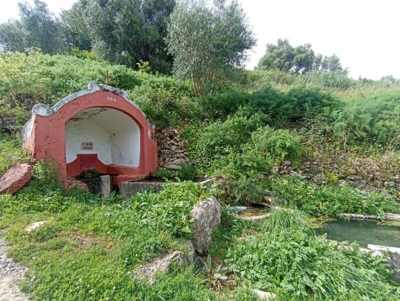 From Sintra, Mafra, or Ericeira: Hike and Wine Tour - The Practical Aspects: Transportation, Duration, and Group Size