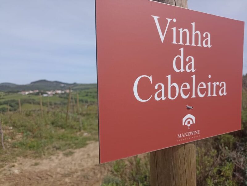 From Sintra, Mafra, or Ericeira: Hike and Wine Tour - In-Depth Review: Why This Tour Stands Out