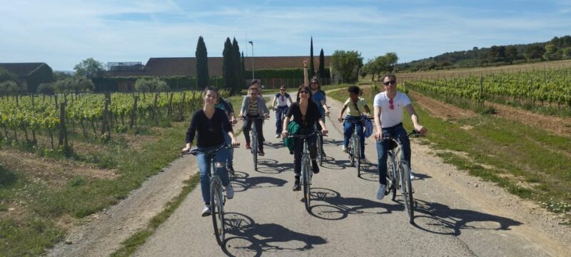 From Sitges: Cycling Tour with Winery visit and Tasting - What to Expect from the Tour