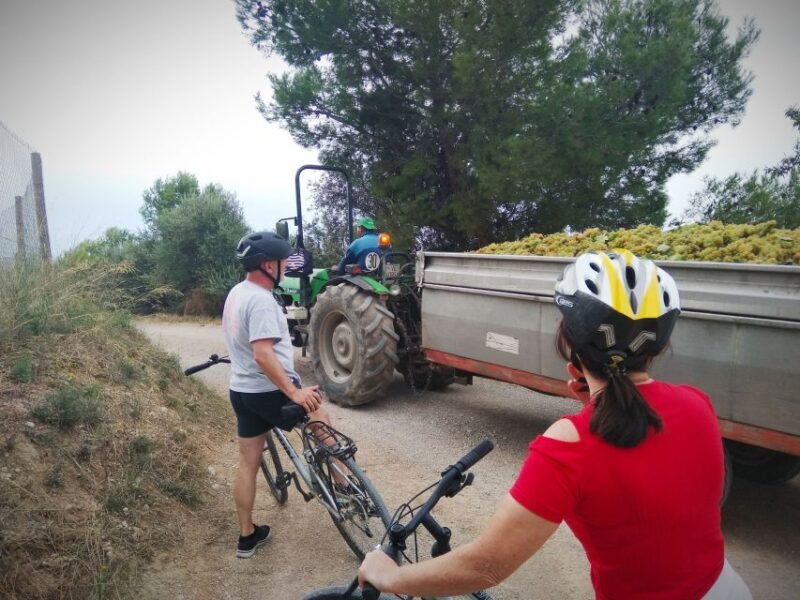 From Sitges: Cycling Tour with Winery visit and Tasting - The Sum Up