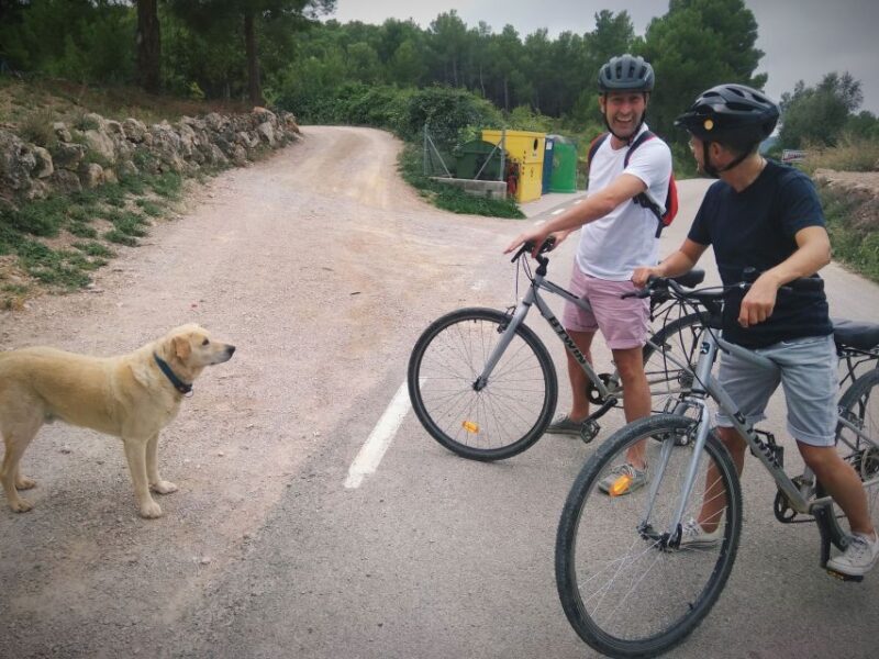 From Sitges: Cycling Tour with Winery visit and Tasting - FAQs