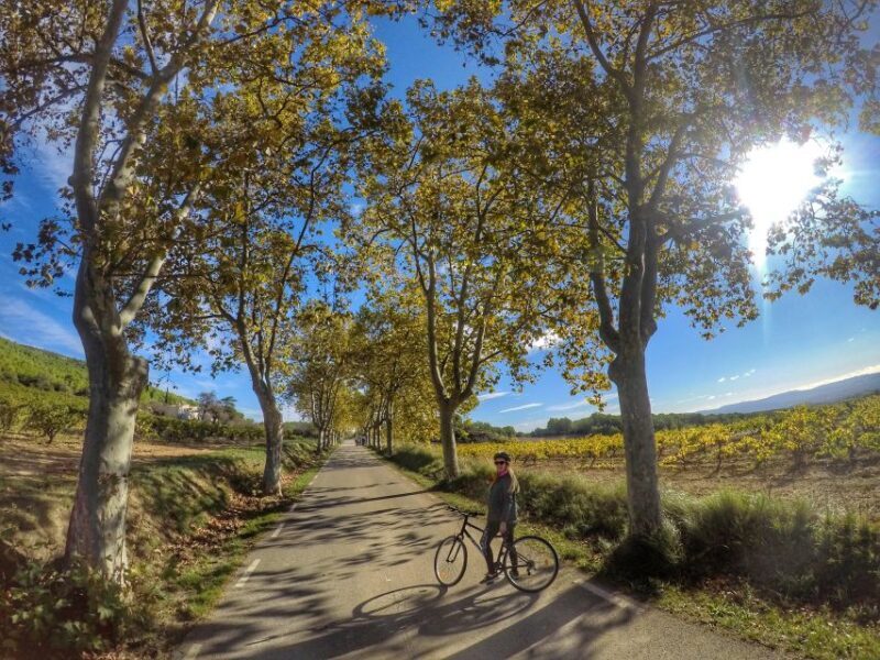 From Sitges: Paella Masterclass with Drink and Bike Ride - Who Will Love This Tour?