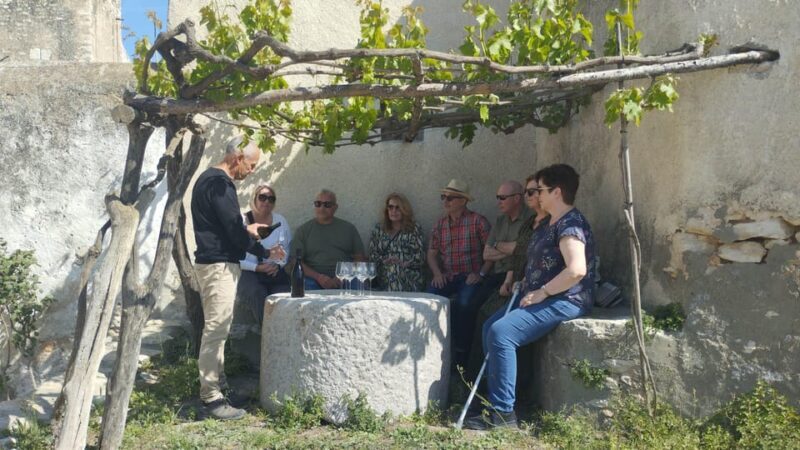 From Sitges: Wine Tasting at 2 Wineries, Snacks and Pickup - What to Expect from the Sitges Wine Tasting Tour