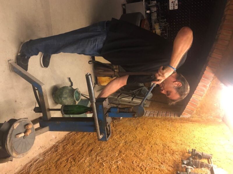 From Sitges: Wine Tasting at 2 Wineries, Snacks and Pickup - The Sum Up: Who Is This Tour Perfect For?