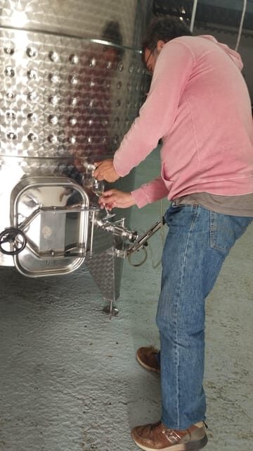 From Sitges: Wine Tasting at 2 Wineries, Snacks and Pickup - FAQ