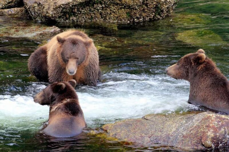 From Sitka: All inclusive Private Yacht Cruise of SE Alaska - Exploring Southeast Alaska by Yacht: An Overview