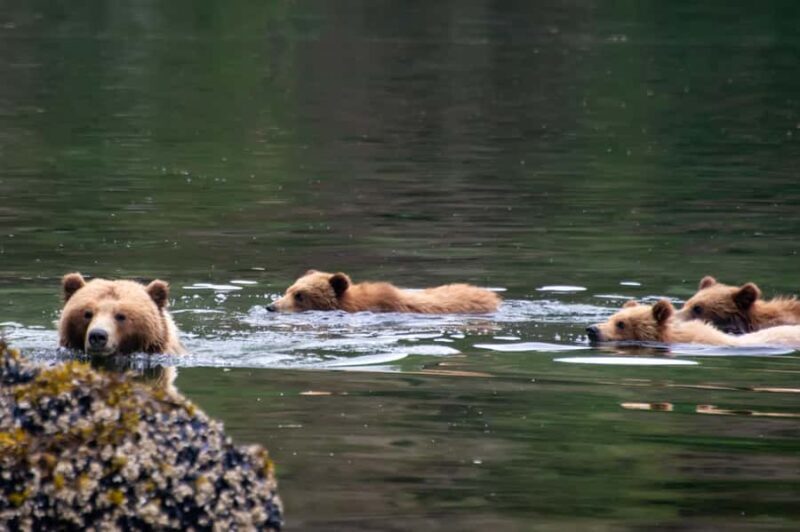 From Sitka: All inclusive Private Yacht Cruise of SE Alaska - FAQ