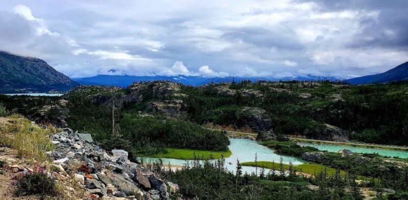 From Skagway: Skagway City & White Pass Summit Guided Tour - The Itinerary in Detail: What to Expect