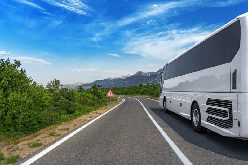 From Skagway: White Pass Summit Guided Bus Tour - Value for Money