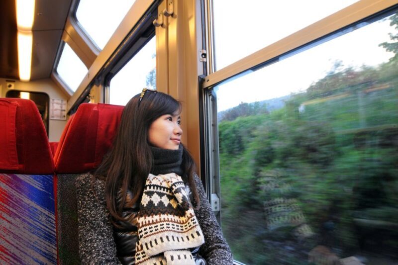 From Skagway: White Pass Summit Guided Bus Tour - Who Should Take This Tour?