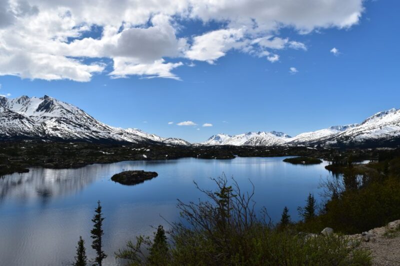 From Skagway: White Pass Summit Guided Bus Tour - The Sum Up