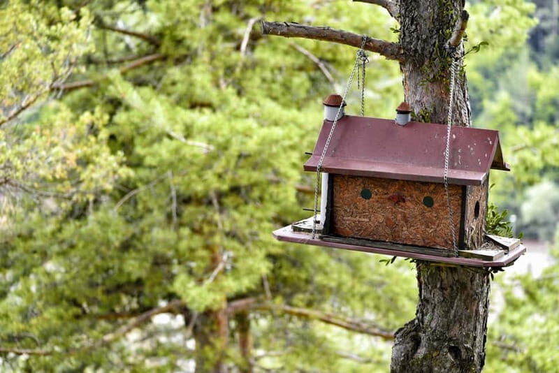 From Skopje: Berovo Full Day Tour and Hike - From Skopje: Berovo Full Day Tour and Hike – A Detailed Review