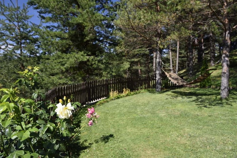 From Skopje: Berovo Full Day Tour and Hike - The Hiking Experience: Walking Through Natural Beauty