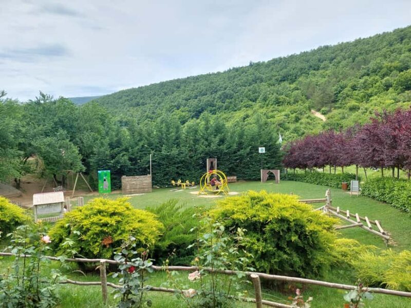 From Skopje: Kosovo in a Day Prishtina, Monastery & Bears - Practical Details and Tips for Travelers